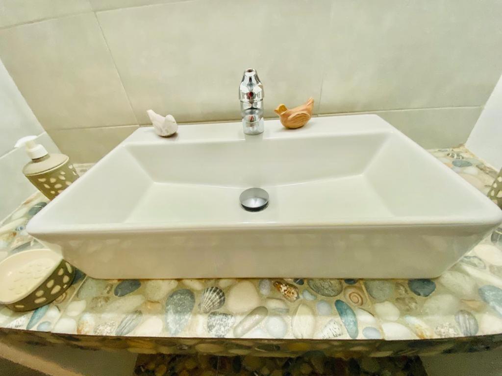 Fani Dream Suite Pachaina Luaran gambar